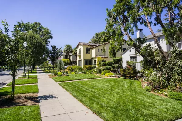 BUYING PROCESS IN THE BAY AREA,Parisa Samimi