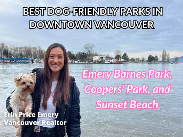 feature image of Best Dog-Friendly Parks in Downtown Vancouver: Emery Barnes Park, Coopers&#39; Park, and Sunset Beach