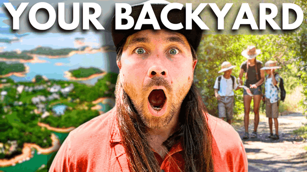 Bowmans Island Trail | Where to Live in Proximity to Lake Lanier, GA