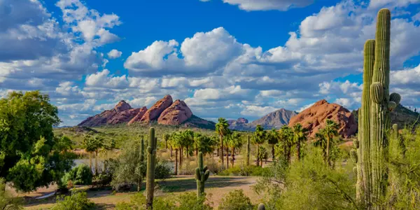 Why Phoenix is the Top Choice for Relocation: Discover the Best Place to Live in 2024,Eric Ravenscroft, CRS