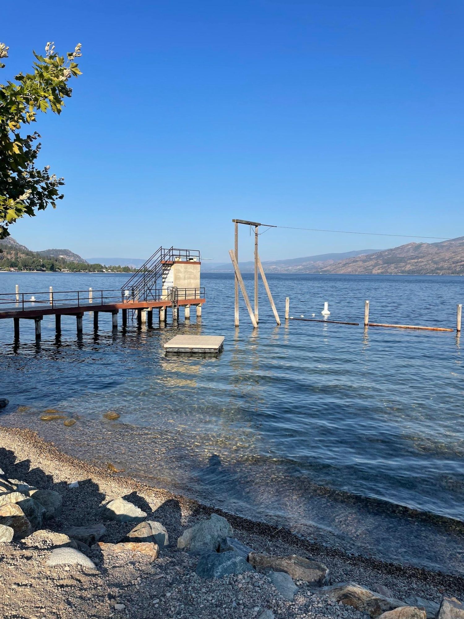 swim bay 1