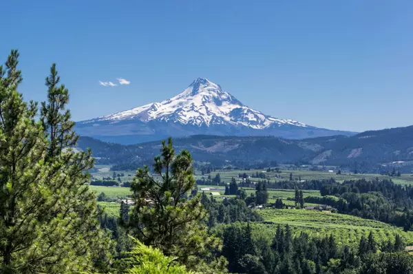 feature image of Gresham, Oregon: Your Perfect Blend of City Life and Nature&#39;s Playground