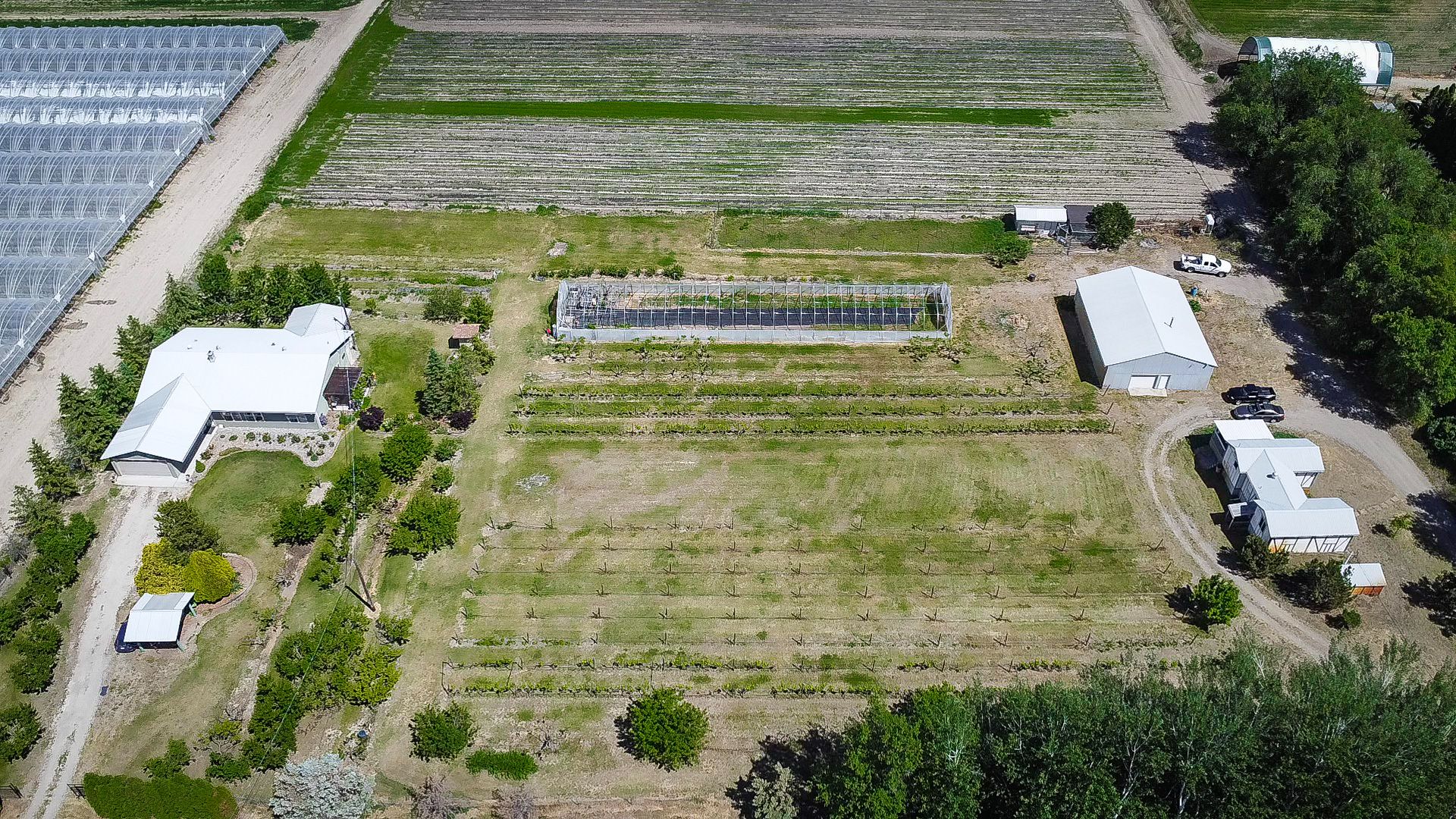 Overhead picture of farm at 7231 Island Rd, Oliver, BC