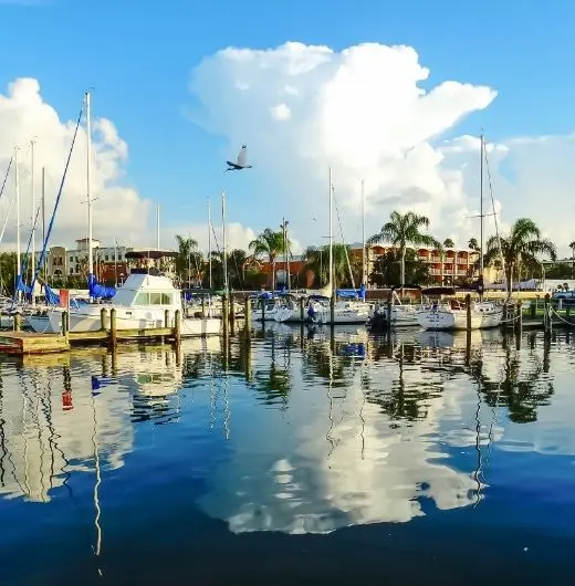 Safety Harbor