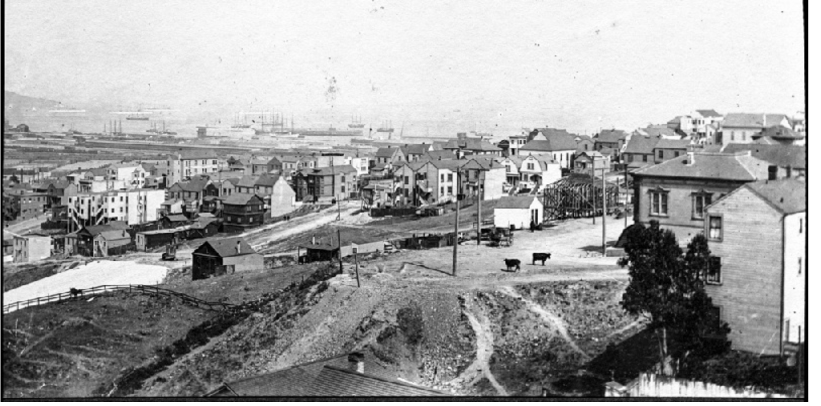 View Northeast from around Carolina Street and 21st. The intersection of 20th and Wisconsin (with cows) at center right. Cows, houses, and ships of the Great White Fleet in Mission Bay.