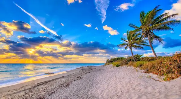 Invest Smart: August 2023 Real Estate Insights for Boca Raton and Delray Beach,Alex Mendel