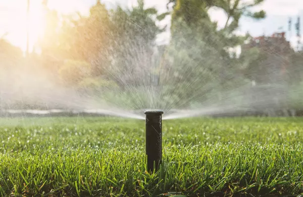 Lush Lawns During the Summer Heat,Scott Cooper