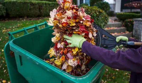 The Ultimate Guide to Fall Home Maintenance: What to DIY and When to Call the Pros,Kolton Villa