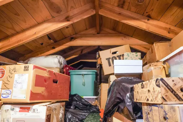 Declutter and Downsize in 3 Days,JEFF HIGGINS