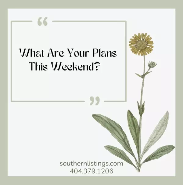 What Are Your Plans This Weekend?  Here Are A Few Options!,Elena Stanfield