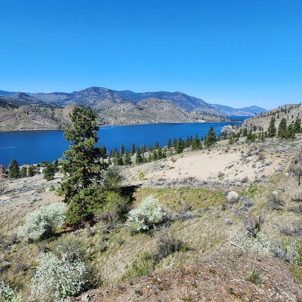 feature image of Hiking Trails in the South Okanagan: A few hiking trails to get you started