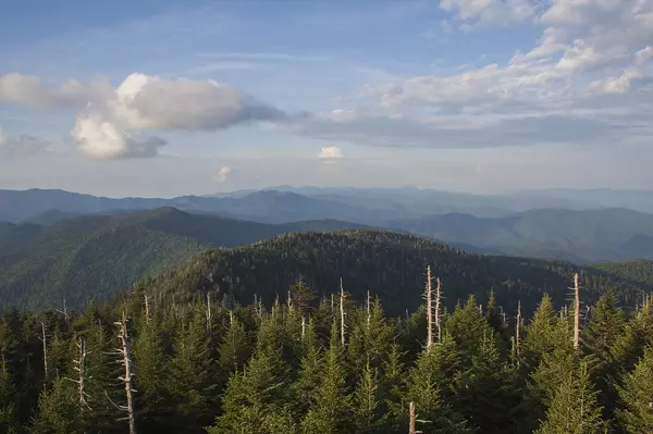 Experience the Majestic Views from Clingmans Dome,Ken Herod