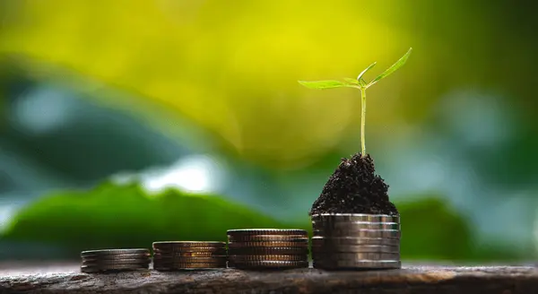 Homeowners Saw a $28K Increase in Equity Last Year,James Lynch