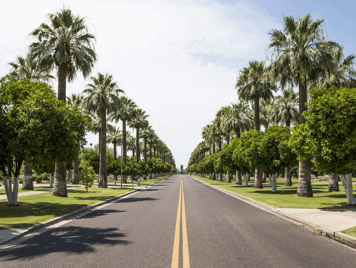 old litchfield park neighborhood