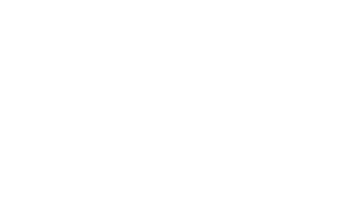 Leslie Guy