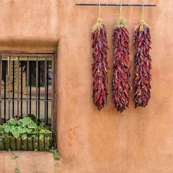 404905597_752902500204722_3044419386474541892_n