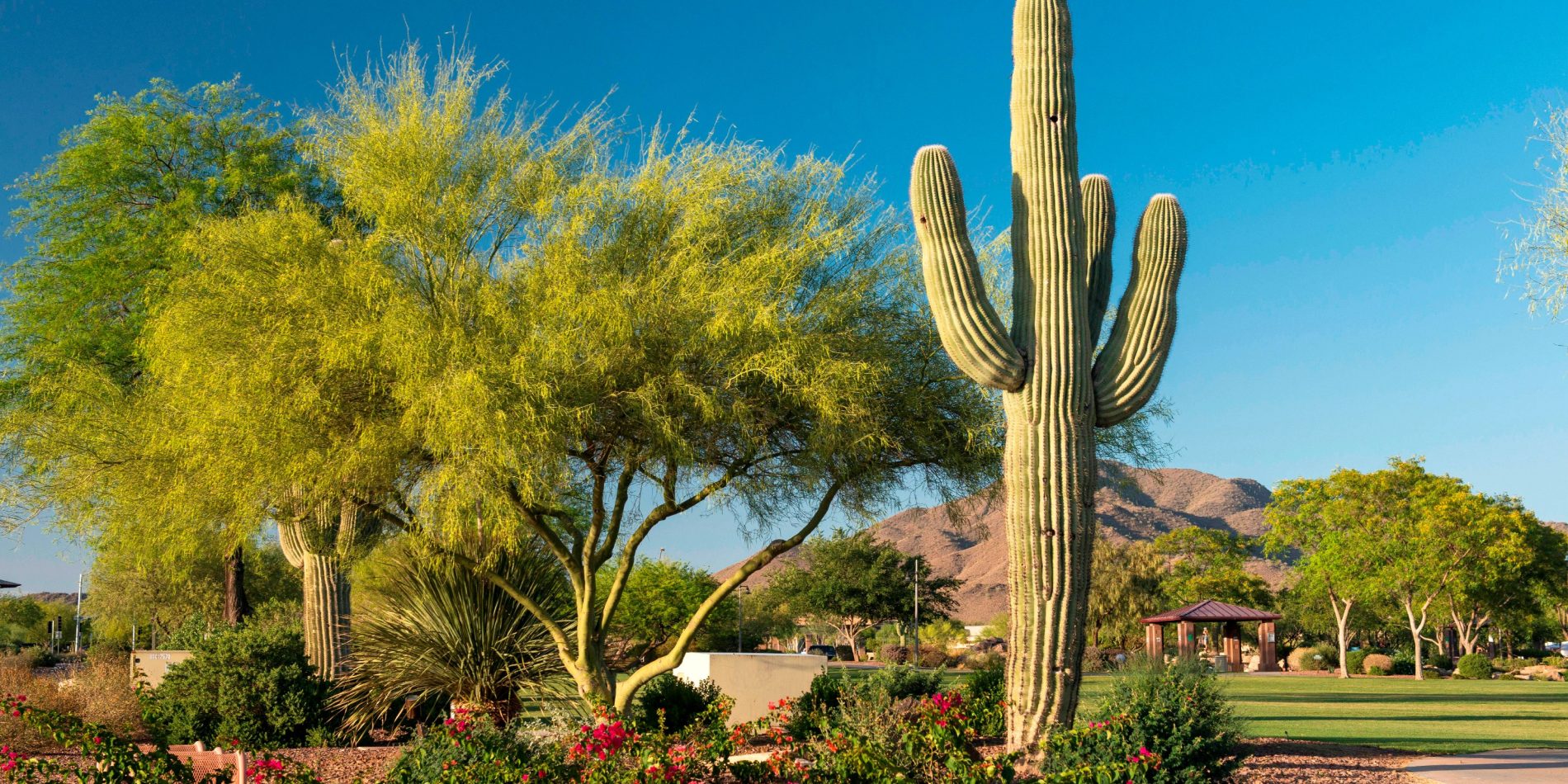 anthem arizona community