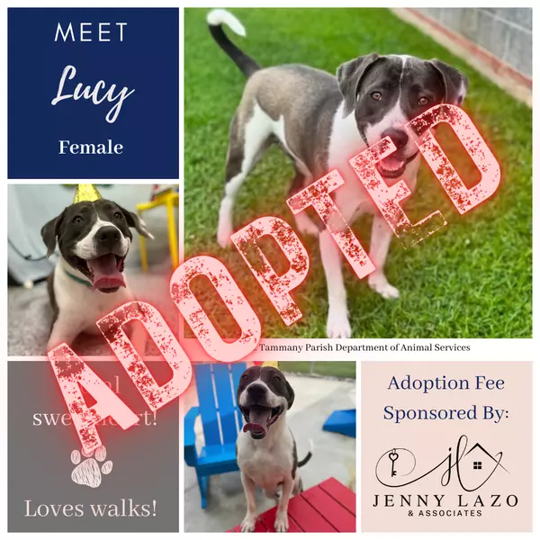 Lucy Adopted