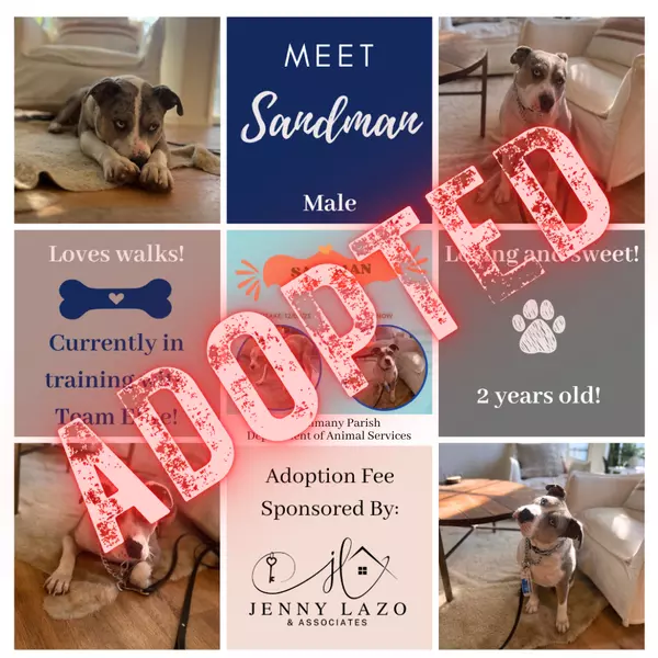 Sandman Adopted