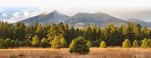 feature image of Flagstaff: A Hidden Gem in the American Southwest