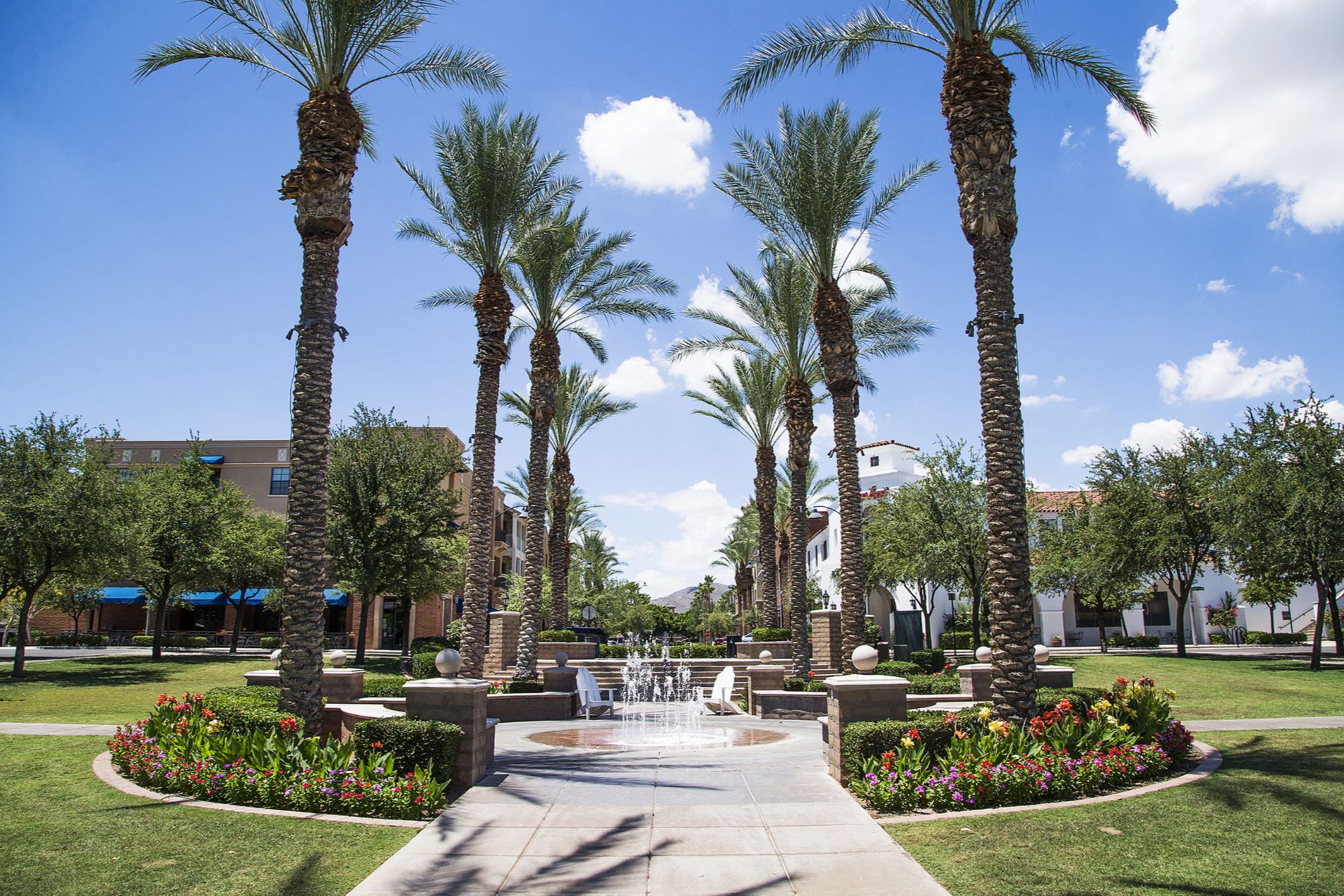 The charming downtown Verrado courtyard in Buckeye, Arizona, featuring palm-lined walkways, a central fountain, and lush landscaping. Buckeye, named the No. 1 city for homeownership in the U.S. in 2024, offers picturesque neighborhoods like Verrado, where residents enjoy a blend of small-town charm and modern amenities, contributing to the city’s top ranking for homeownership and quality of life.