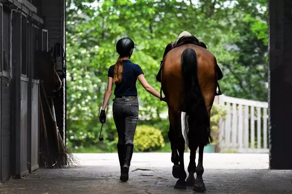 A Beginner's Guide to the Equestrian Lifestyle