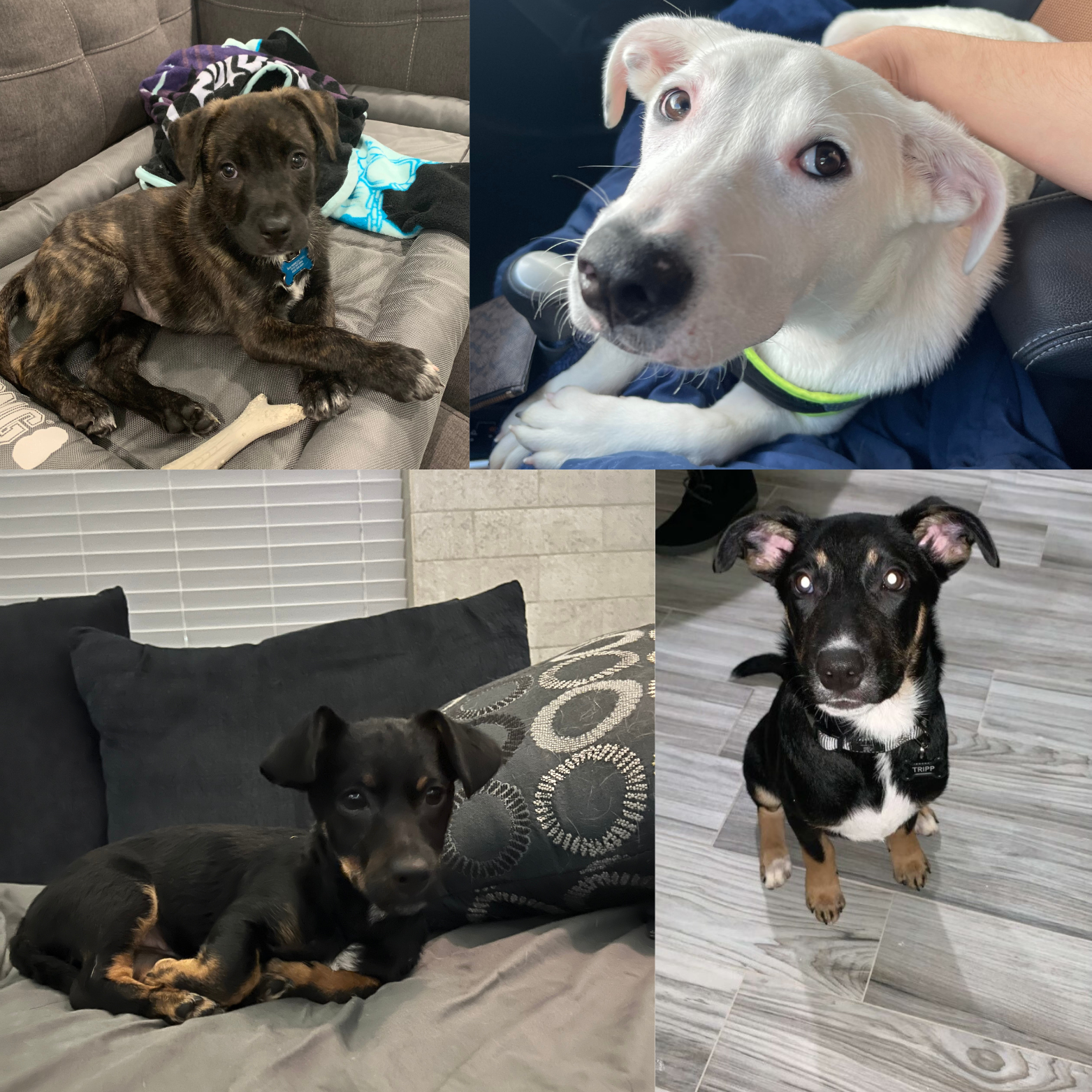 Wasnt going to fail (1)