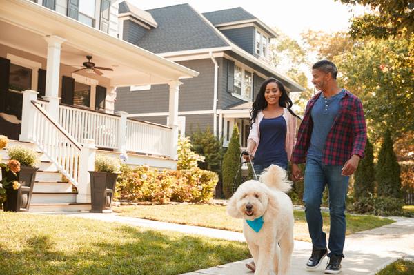 A man and a woman walking a labradoodle in a suburban neighborhood