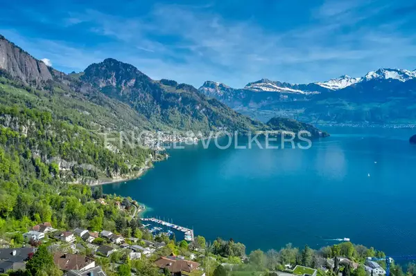 Lucerne #3
