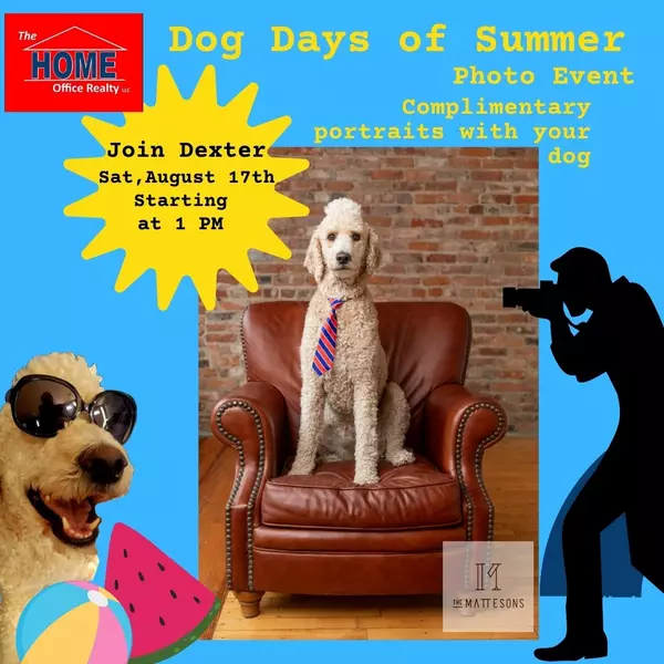 feature image of Dog Days of Summer | Photo Shoot for all Dogs and their Humans 