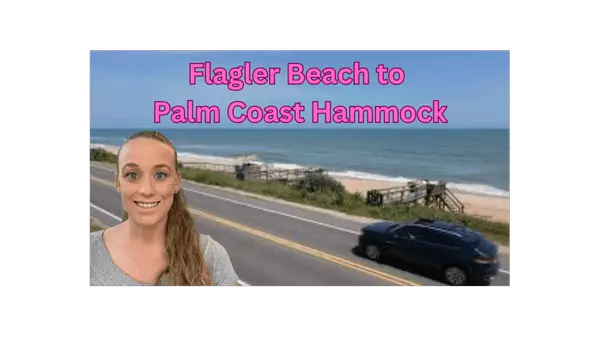 Palm Coast Florida Driving Tour: Flagler Beach to Palm Coast Hammock,Stephanie Shulas