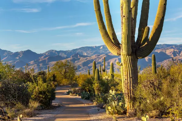SARAH HARE REAL ESTATE SONORAN LIVING WITH SARAH