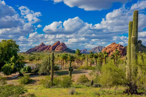 SARAH HARE REAL ESTATE SONORAN LIVING WITH SARAH