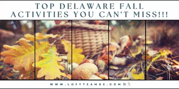 Top Delaware Fall Activities You Can't Miss!!!,Zachary Foust