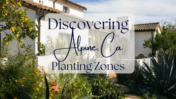 What Planting Zone is Alpine CA?,Rachell Lara