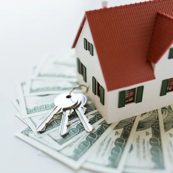 How Much Money You Really Need to Buy and Maintain a Home in Saint Petersburg and Tampa Bay,Thomas J. Morillo