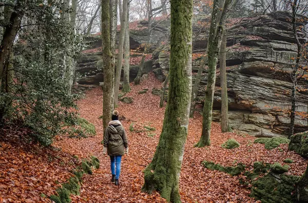 The Best Hiking Trails Near Your Smoky Mountain Cabin,Ken Herod