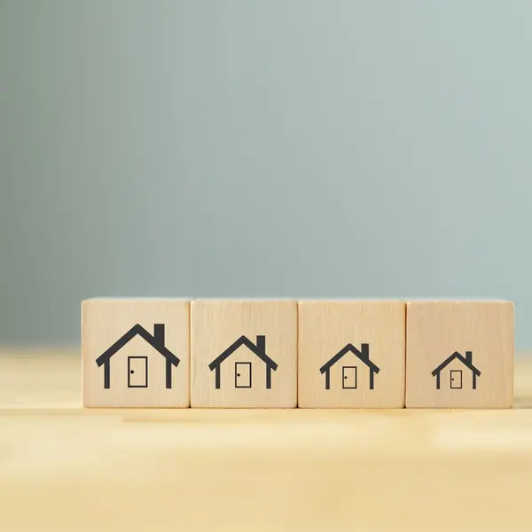 Downsize with Ease: Expert Tips for Making the Right Move,Thomas J. Morillo