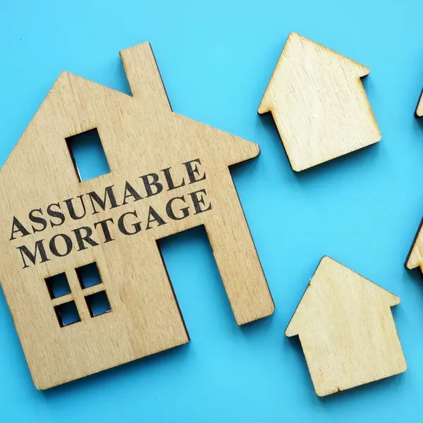 Maximizing Your Home Sale: The Mind-blowing Power of Assumable Mortgages,Thomas J. Morillo