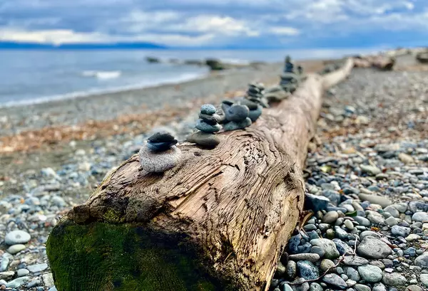 Lower_Lantzville_Beach_Rock_Statues