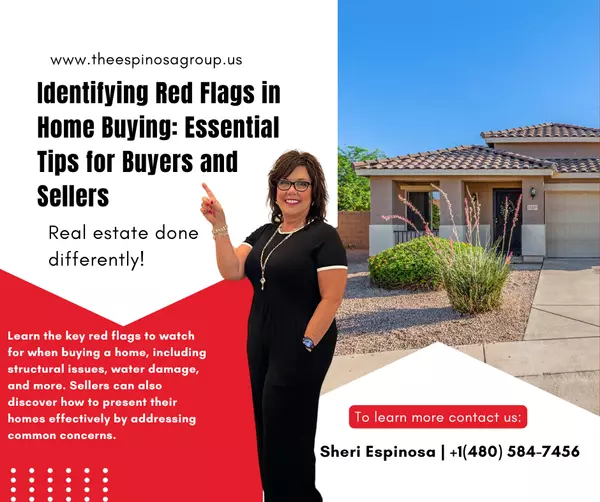 Identifying Red Flags in Home Buying: Essential Tips for Buyers and Sellers,Sheri Espinosa