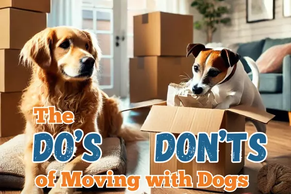 The Do's and Don'ts of Moving with Dogs: A Comprehensive Guide