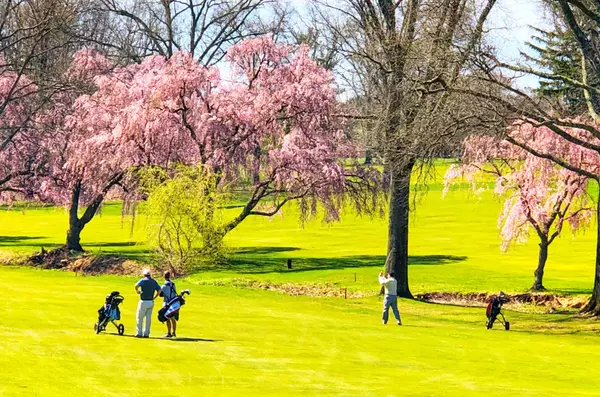 springtime-at-the-golf-course-2023-11-27-05-14-08-utc