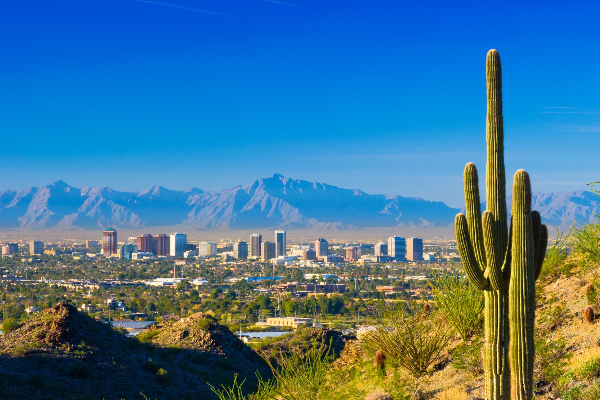 Illustration of Phoenix skyline with insights and expert analysis text overlay, highlighting key trends in the Greater Phoenix Metro real estate market, including housing affordability, population growth, and investment opportunities. Perfect for those seeking in-depth knowledge and the latest updates on Phoenix real estate trends.