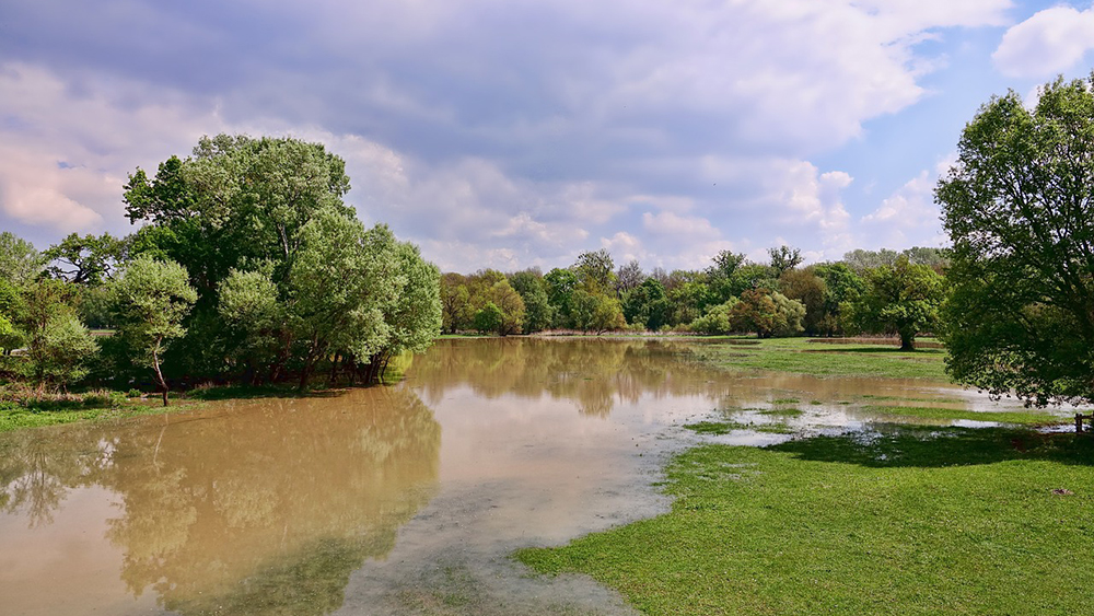 flood zone risks