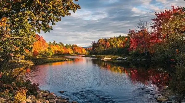 Top Fall Events to Enjoy in St. Petersburg and Tampa Bay ,Conor J. Green