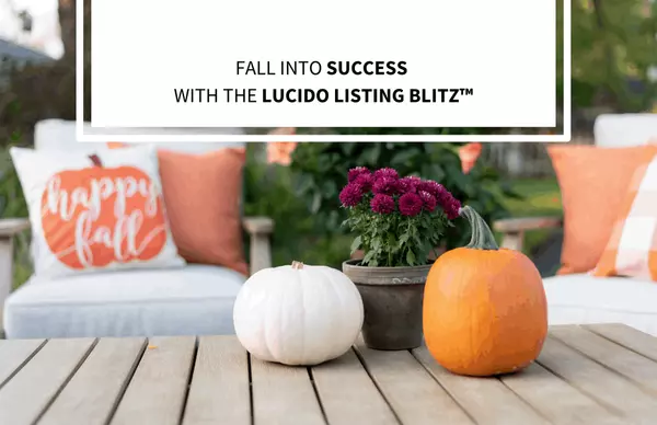 Fall into Success with the Lucido Listing Blitz