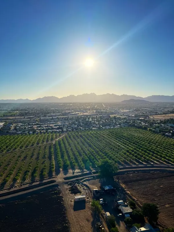 The Sizzling Summers of Las Cruces, NM: What to Expect,Amanda Dominguez