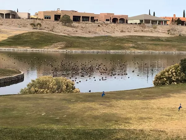 Discover the Charm of Sonoma Ranch Neighborhood in Las Cruces, NM,Amanda Dominguez