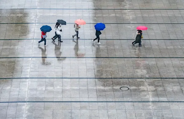 How Alabama’s Weather Affects Real Estate: What Buyers Should Know,Eddie Carr
